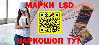 соль ск Новозыбков