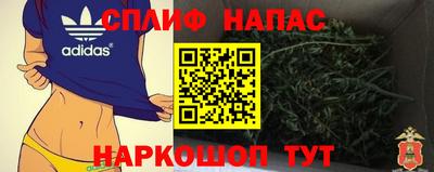 соль ск Новозыбков