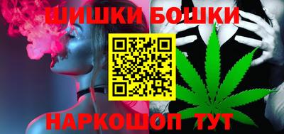 соль ск Новозыбков