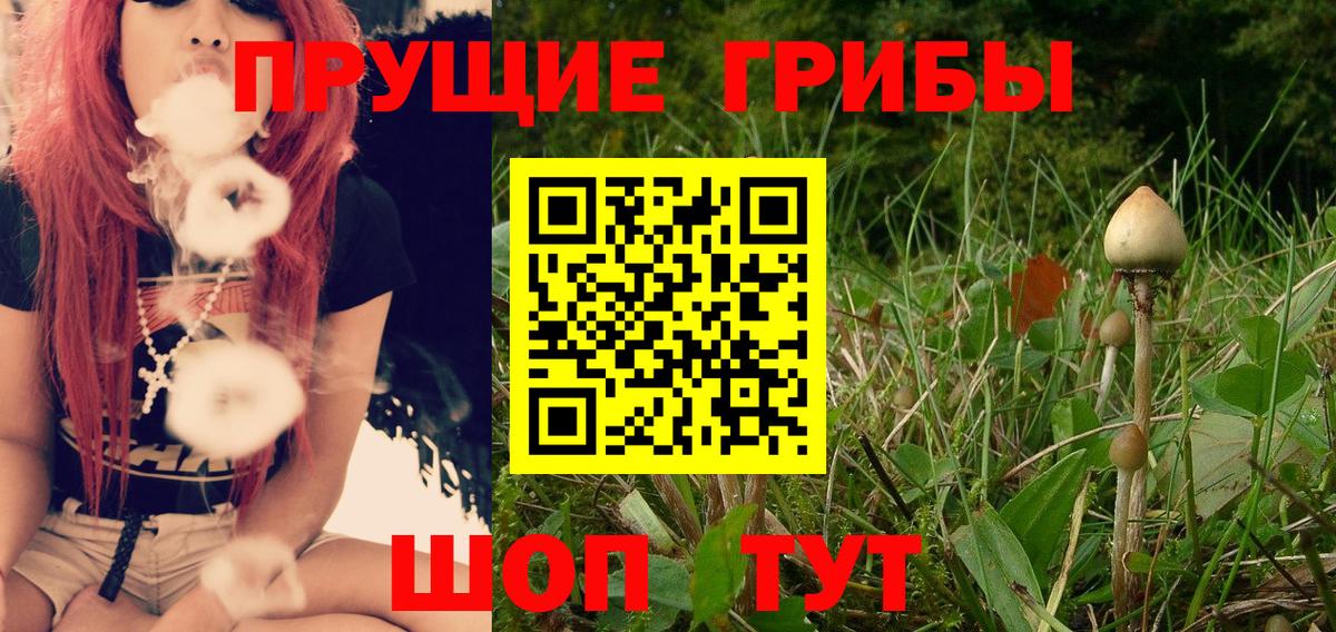 Псилоцибиновые грибы прущие грибы Зеленокумск