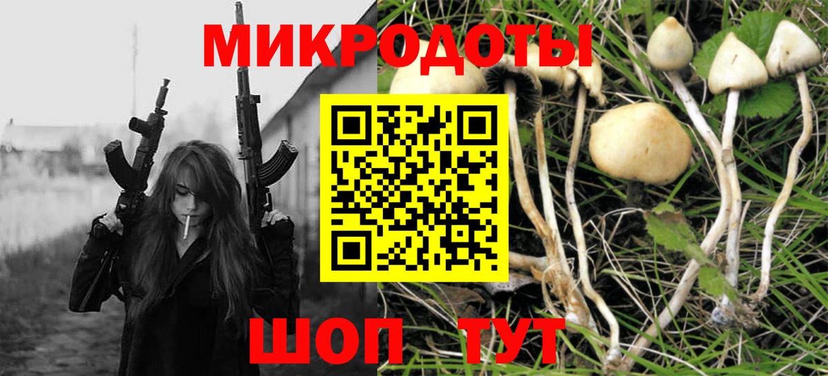 Псилоцибиновые грибы Cubensis Зеленокумск