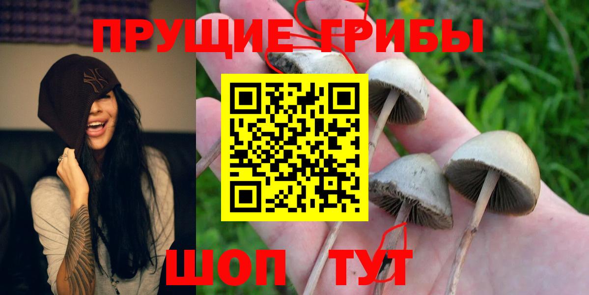 Псилоцибиновые грибы ЛСД  Псилоцибиновые грибы MAGIC MUSHROOMS  Зеленокумск  Вход с VPN 